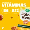 Jalea Real Vitamínik 10 Sobres De 10 Ml Vitaminas B6