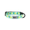 RC Pets Kitty Breakaway Cat Collar, Pineapple Parade