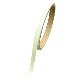 LTI Luminous Tape High Intensity 5 mm Wide x 1 m af0501t