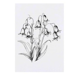 'Bluebells Flowers' Temporary Tattoo - Water Resistant, Skin-Safe, Non-Toxic Transfer (TO00081679)