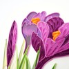 Wow Crocus Flower Bulbs - Quilling Greeting Card for All