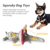 ZENVALY Dog Toy, Squeaky Toy for Dogs, Squeaky Toy, Dog