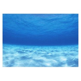 amleso Wallpaper Background Poster Tank Sticker Aquarium Aquarium Tank Paste 6 Sizes Total - 61 x 30cm