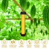 Qualirey Fly Traps for Indoor Outdoor Hanging Fruit Fly Stick
