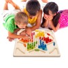 drizzle Ludo Board Game & Chinese Checkers 2 in 1