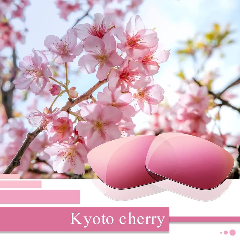 HiCycle2 Polarized Replacement Lenses for Oakley Holbrook Sunglasses, Multiple Options,