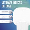 EverOne Glue Card Refills for Indoor Fly Trap – 3