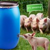 HHNIULI Automatic Pig Nipple Waterer Set with Brass Tank Connectors