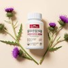 Natureholic Silymarin Milk Thistle 1 Bottle (90 tablets) 3-month supply