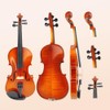 Vetimobato Acoustic Violin 4/4 Full Size Set Handmade Maple Solid