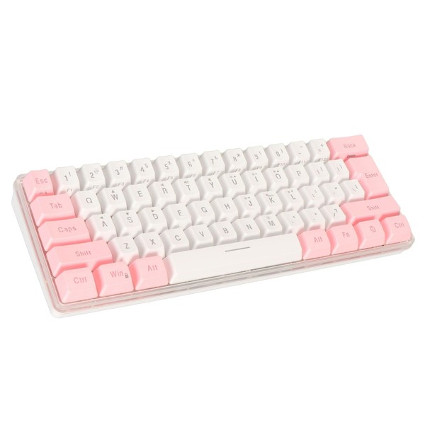 Bewinner 60% Wired Gaming Keyboard, RGB Backlit Mini Keyboard, Imitated