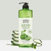 Caribbean Beach Large Capacity Aloe Soothing Gel, 1L, Pack of