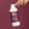 Clever Curl Light Conditioner 450ml