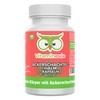 Horsetail Capsules - High Dose 500 mg Tin Herb -
