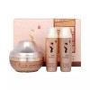 Dahan 다나한 본연진 아이크림 기획세트 Dana Han Bon Yeon Jin Eye Cream Set