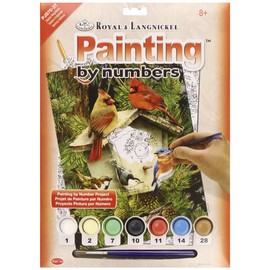 ROYAL BRUSH Junior Small Paint by Number Kit 8-3/4"X11-3/4-Native Neighbors