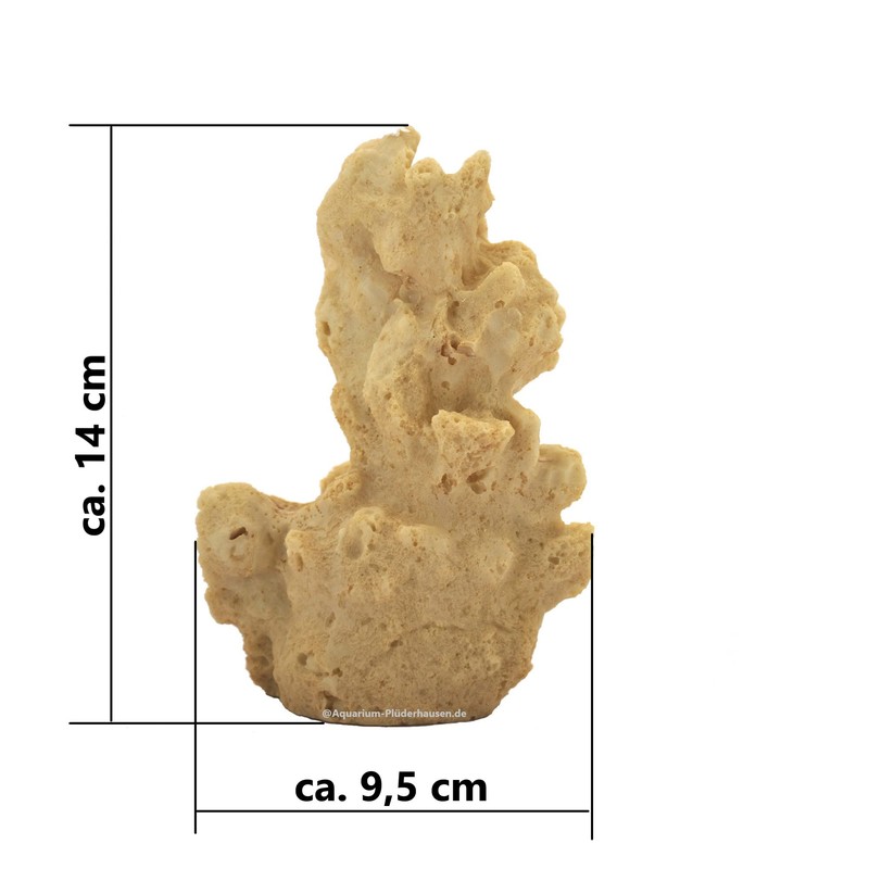 Rock/Stone, 9.5 x 8 x 14 cm, Nano Aquarium Seawater