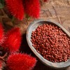 GranAroma Whole Annatto Seeds, 1.5 lb, Mild Spice, Grilling &
