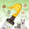Seizure and Epilepsy Supplement, Nervous System Supplements for Dogs and