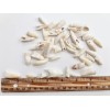 100PC Alligator Teeth for Making Gator Teeth Necklace Real Alligator