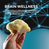 Wellsgoing Lion's Mane Mushroom 1000 mg | Fruiting Body Mushroom