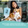 Dog Straw Dog Straw – The Ultimate On-The-Go Water Solution