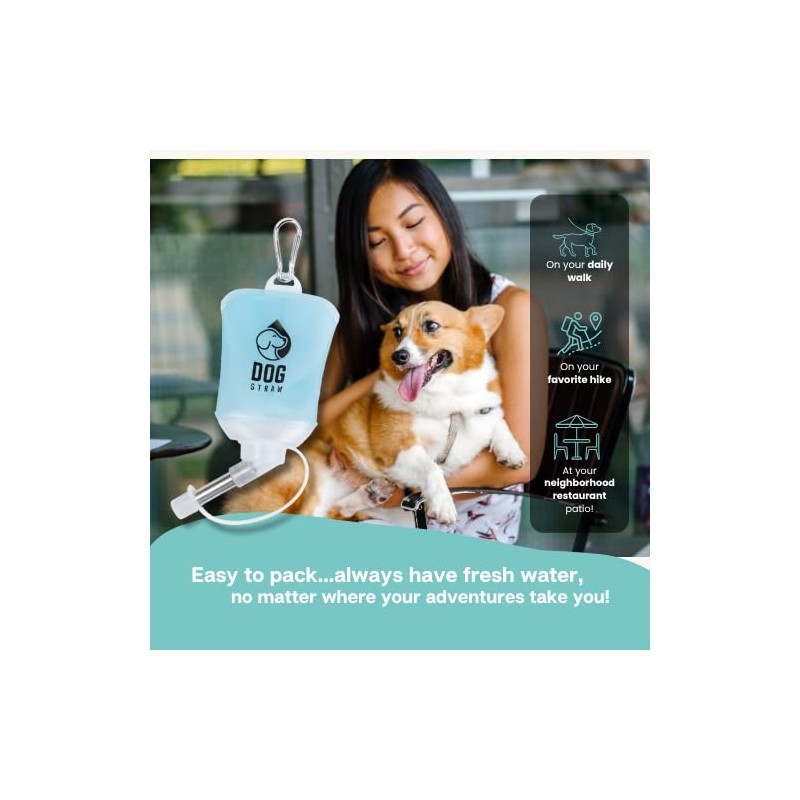 Dog Straw Dog Straw – The Ultimate On-The-Go Water Solution