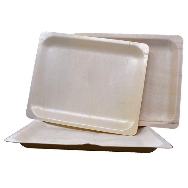 Perfectware 10" Earth Friendly All Natural Premium Quality 100% Compostable & Disposable Plates- (PW-Plate 10-25), Silver, Package of 25