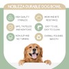 Nobleza - Pack of 2 Stainless Steel Dog Bowls, Feeding