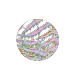 One (1) Australian Abalone Button: 100-Line 63.5mm (2.5")