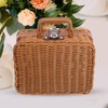 Alipis Woven Plastic Wicker Suitcase, Retro Rattan Suitcase Box with