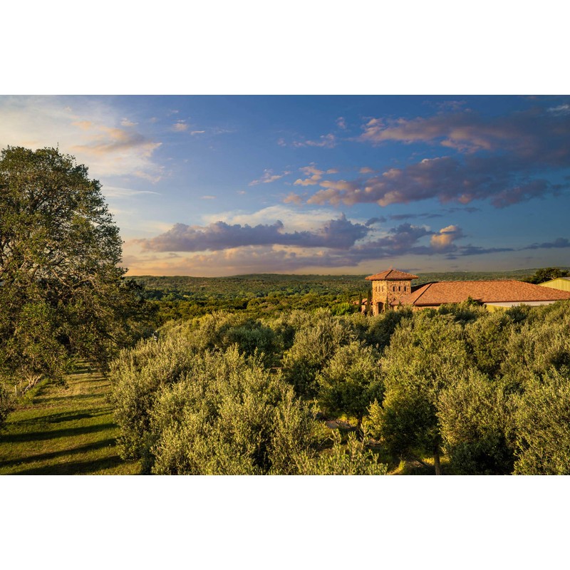 Texas Hill Country Olive Co Lemon Infused Olive Oil -