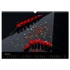Spice Art - Gewürze in Szene gesetzt (Wandkalender 2025 DIN