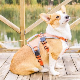 BELPRO Multi-Use Support Dog Harness, Escape Proof No Pull Reflective Adjustable Vest with Durable Handle, Dog Walking Harness for Big/Active Dogs (Orange, L)