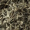 Bremer Gewürzhandel China Sencha Organic Loose Green Tea with Mild,