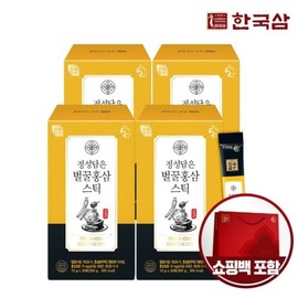 Hanguk Sam 한국삼 정성담은 벌꿀 홍삼스틱 10g x 30포 x 4박스 실속형 Korean Red Ginseng Stick Honey 10g x 30 Packs x 4 Boxes Value Set