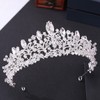 QIXNJALG Crystal Crowns and Tiaras with Tomb for Girl or