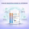Ms Probiotico Para Perros 90 Gr