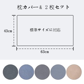 FAYOSA Pillow Cover, Soft, Envelope Type, Pillow Cover, Water Washable, Breathable, Hotel Quality, Washable, Set of 2, Approx. 16.9 x 24.8 inches (43 x 63 cm) (Light Gray)