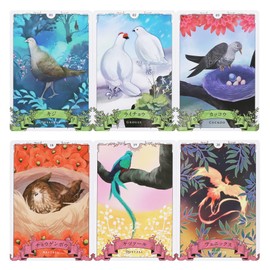 Madam Aria Oracle Card, Japanese Divination, Bird Oracle BirdOracle Japanese Instruction Manual Included