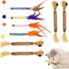 BeoTnp Catnip Toys for Cats, Cat Toys for Indoor Cats,
