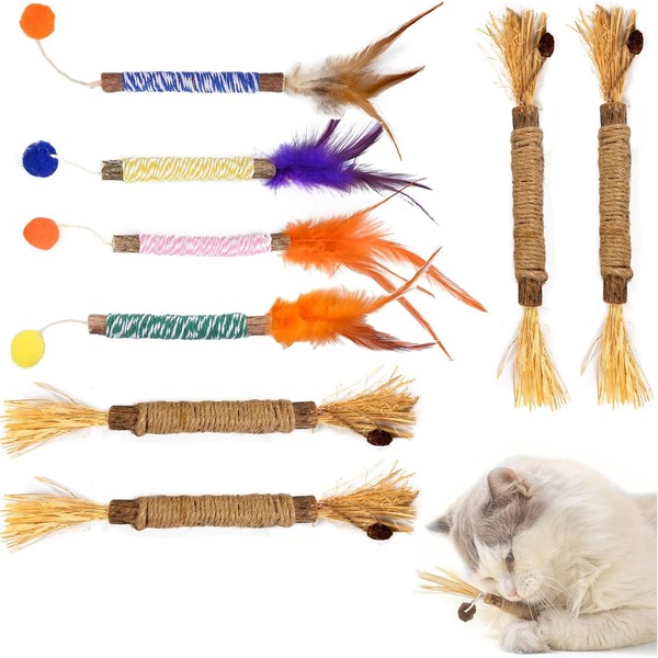 BeoTnp Catnip Toys for Cats, Cat Toys for Indoor Cats,