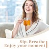 Johou Peppermint Herbal Tea Pods, Specially Ground Pure herb, Full-Flavor,