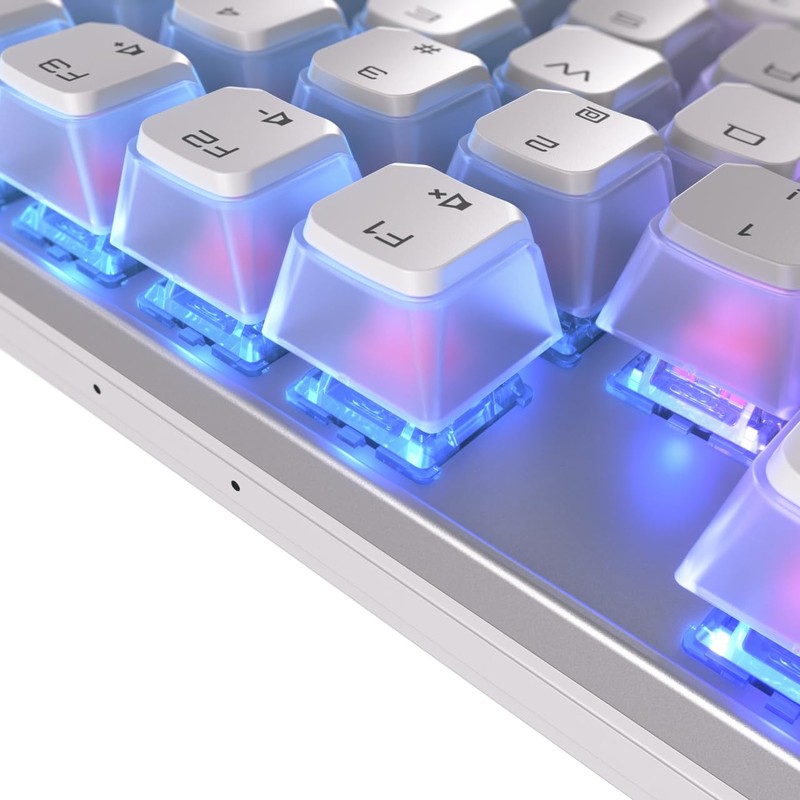 Cherry MX 8.2 TKL Wireless Gaming Keyboard XAGA Edition. (White,