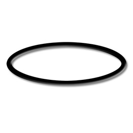 Spare Part Swimming Pool Pump WilTec-550/750 O-Ring 1