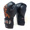 RIVAL Boxing Evolution Hook and Loop Sparring Gloves - 12