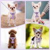 Eyein Small Dog Harness and Lead Set - Soft Mesh