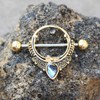 Cocobul Body Jewelry Pair of Gold Plated Ornate Nipple Shield