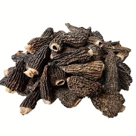 Premium Grade Dried Morel Mushrooms (Morchella Conica), 2 oz Gourmet Morel Mushrooms Dehydrated Delicacies Nourishing Morchella Conica羊肚菌