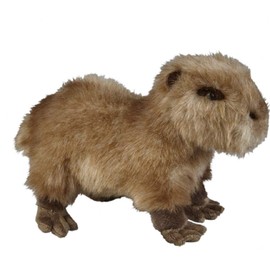 Ravensden Soft Toy Capybara Standing 28cm